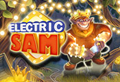 electric-sam-icon-gamepage_casinobonussen
