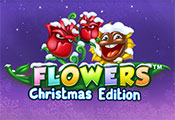 Flowers-Christmas-icon-gamepage_casinobonussen