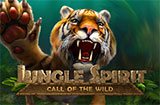 Dschungel-Geist-Ruf-der-Wild-Ikone-frontpage_casinobonussen