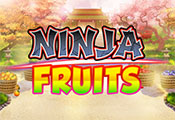 Ninja-Fruits-icon-gamepage_casinobonussen