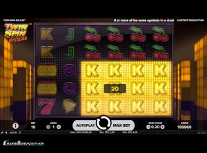 Twin Spin Deluxe - CB.dk Screenshot 3