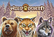 Wild-North-icon-gamepage_casinobonussen
