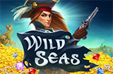 Wild-Seas-icon-frontpage_casinobonussen