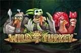 Wild-Turkey-icon-frontpage_casinobonussen