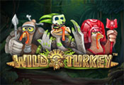 Wild-Turkey-icon-gamepage_casinobonussen
