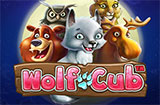 Wolf-Cub-icon-frontpage_casinobonussen