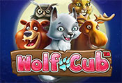 Wolf-Cub-icon-gamepage_casinobonussen