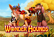 Wonder-Hounds-icon-gamepage_casinobonussen