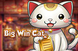 Big-Win-Cat-icon-frontpage_casinobonussen