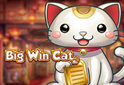 Big-Win-Cat-icon-gamepage_casinobonussen