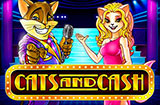 Cats-and-Cash-icon-frontpage_casinobonussen