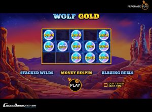 Wolf Gold SS 1