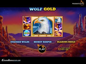 Wolf Gold SS 8