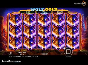 Wolf Gold SS 4